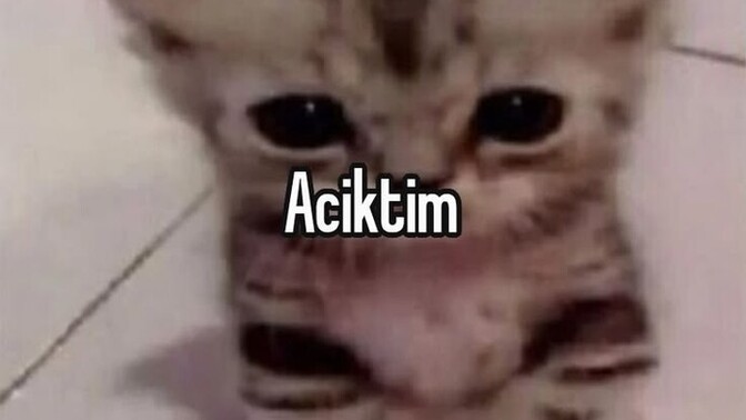 Mideniz her gördüğü yemeği aseriyor mu?