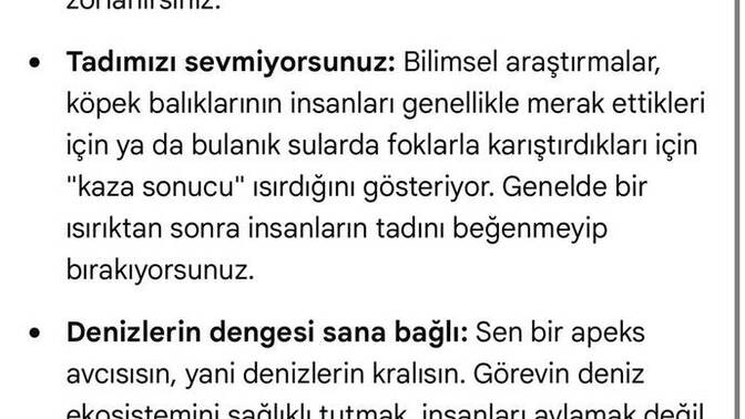 Yapay zekayı trollediniz mi hiç?
