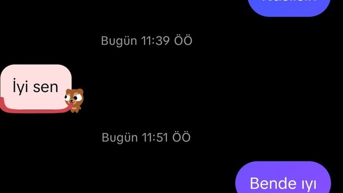 Şu sohbeti nasıl devam ettirirsiniz?