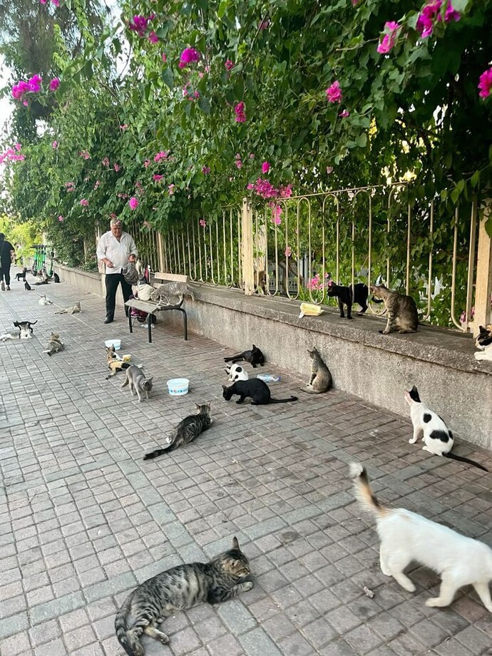 Bi korkunuz, fobiniz var mı?