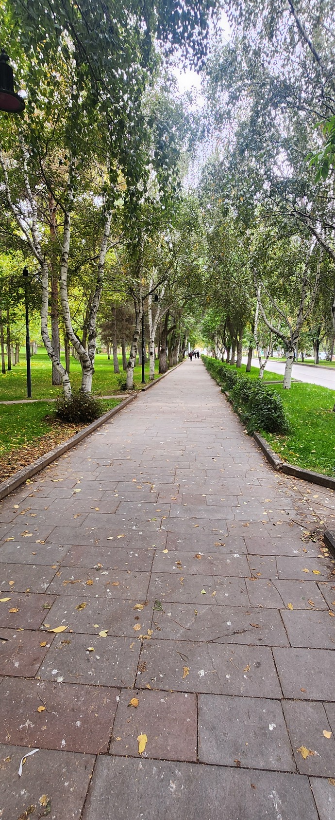Yürüyüş yapmayı sever misiniz, sizce romantik mi yoksa ormantik mi😅?