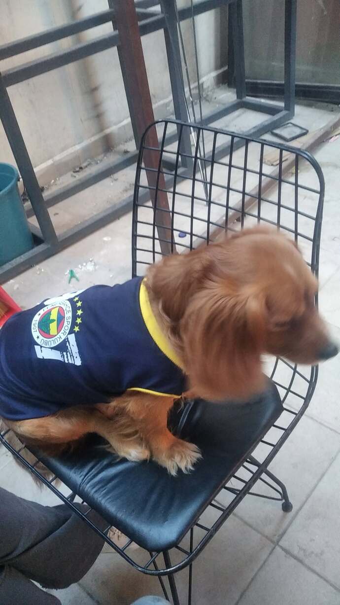 Hangi takımı tutuyorsunuz 🌸?