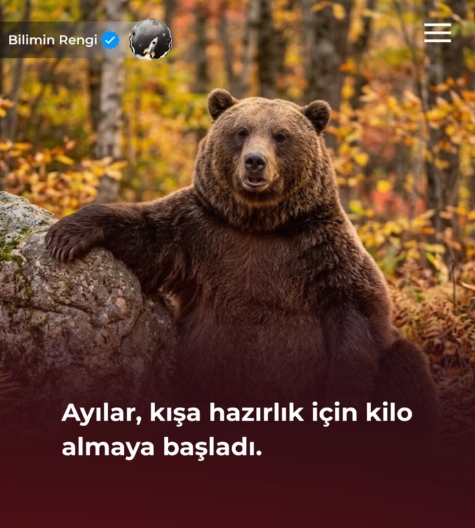 Kiloyu kışın alan, yazın verenlerden misiniz?