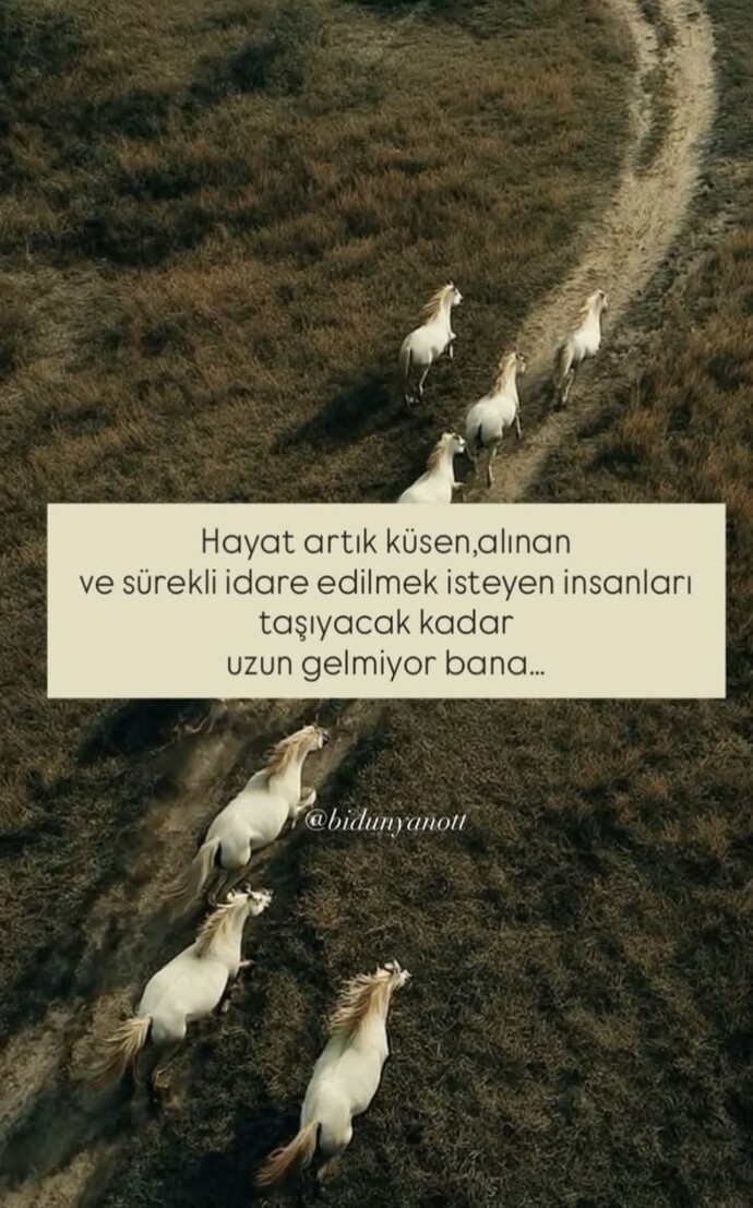 Alıngan ve çabuk küser misin herşeye?