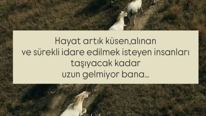 Alıngan ve çabuk küser misin herşeye?