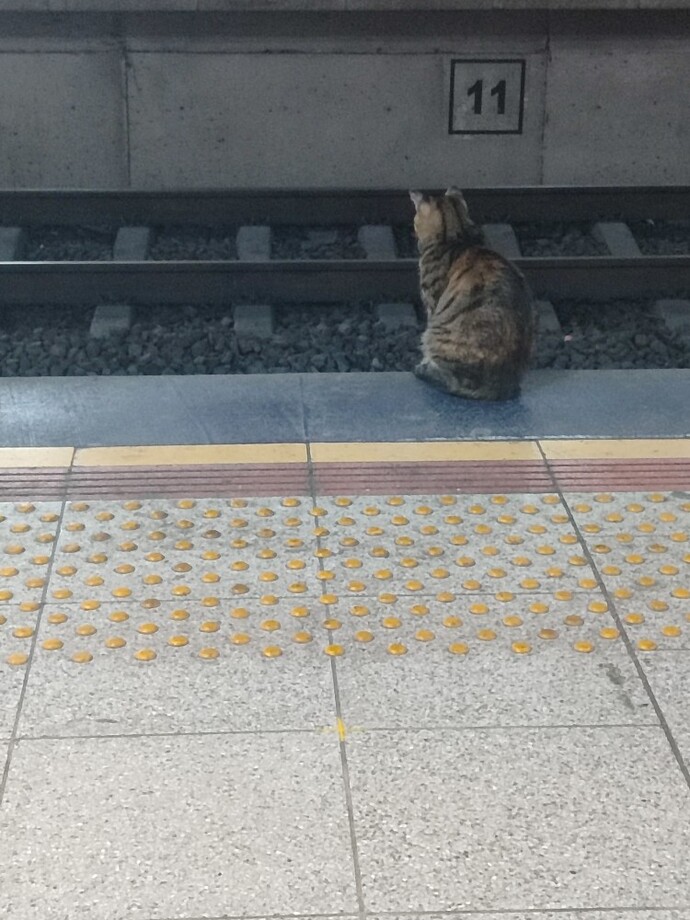 En son neyi beklediniz?