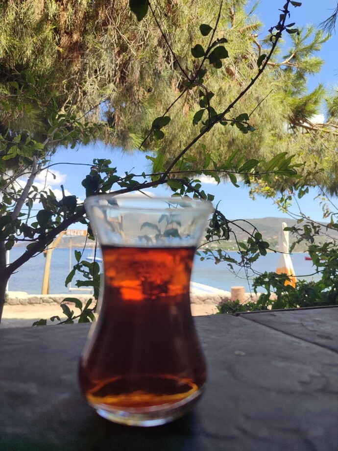 Hangi konuda eleştiriyi kabul etmiyorsunuz?