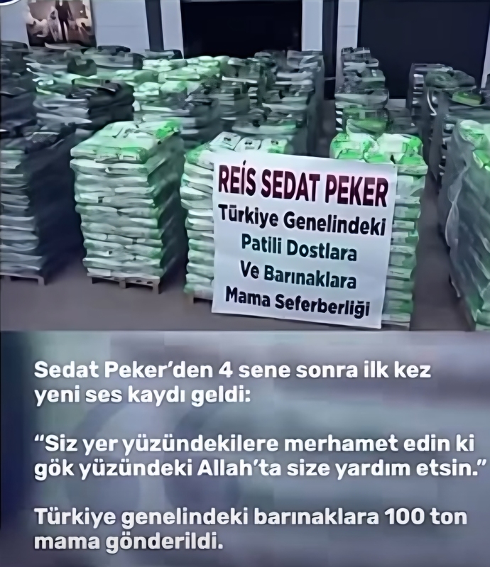 Sedat Peker’den barınaklara 100 tonluk mama desteği. Peki siz Sedat Pekeri nasıl bilirsiniz?