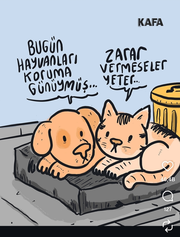Tüm hayvanları koruma kapasitesine sahip misiniz 🐾🐾🦁🐰🐼🐶?