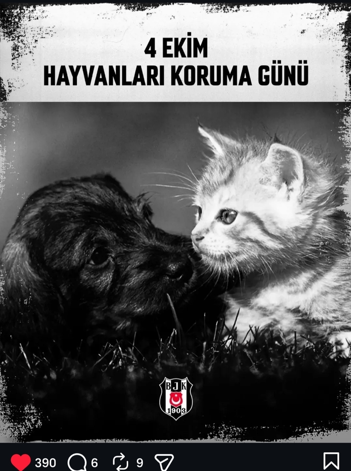 Tüm hayvanları koruma kapasitesine sahip misiniz 🐾🐾🦁🐰🐼🐶?