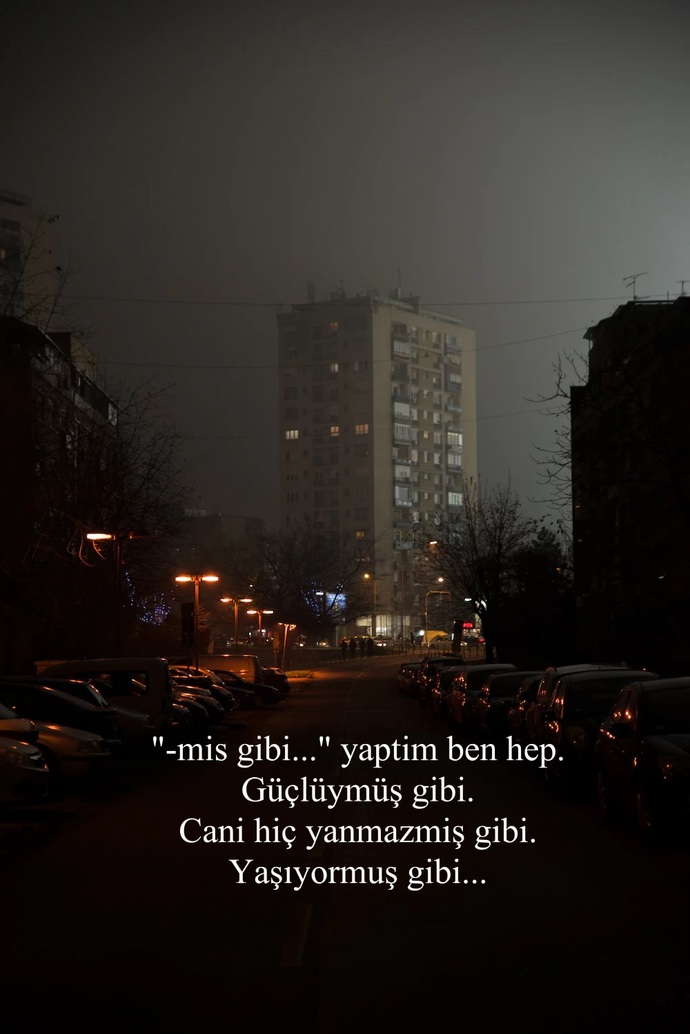 Neyi mış gibi yaptınız?