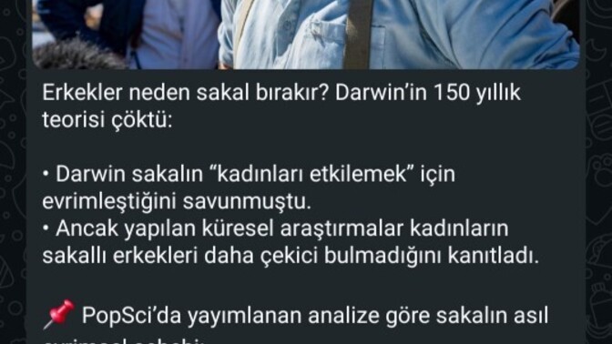 Erkekler neden sakal bırakıyor, Sadece imaj mı yoksa erkeklik ispatı mi?