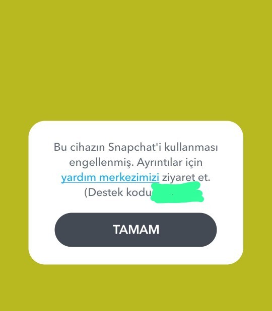 Instagram ve snepchat bunu neden yaptı sizce?