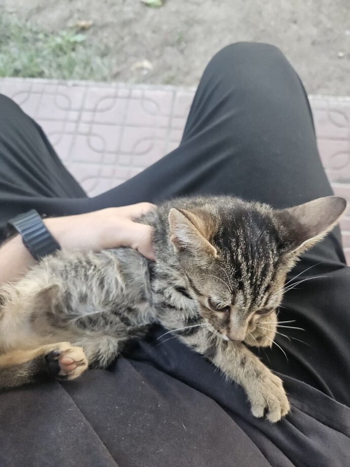 Küçük dostlarınız var mı?
