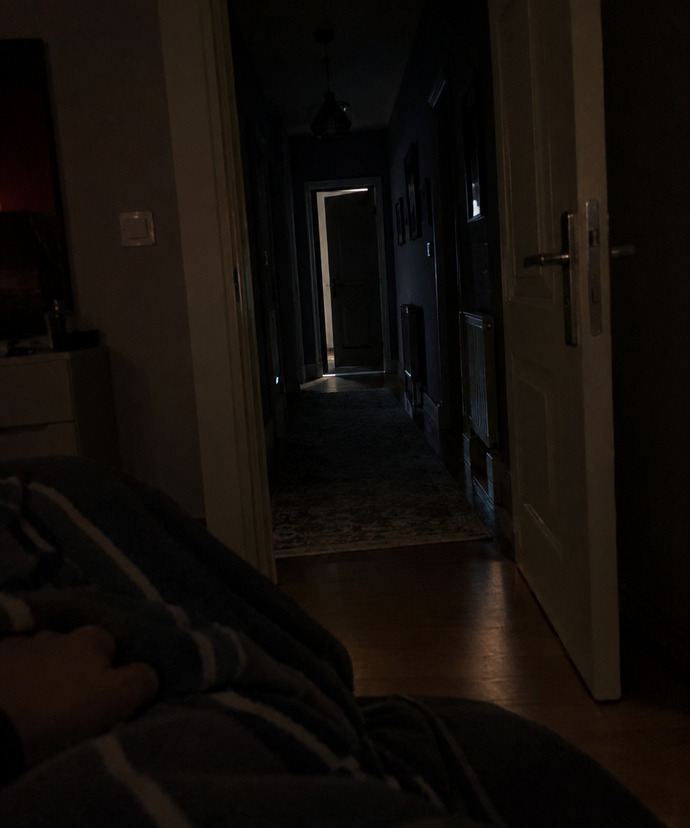 Gece yalnızken koridordan ayak sesi gelse bakmaya gider misiniz?