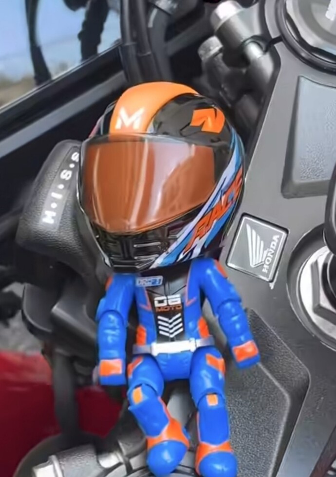 Sevgilim motoruna yeni kavuştu ve ilk defa hediye alıcam bu hediyeye mutlu olur mu?