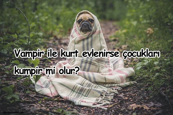 Sessiz kalmak her zaman olgunluksa, küsmek neden çocukluk oluyor?