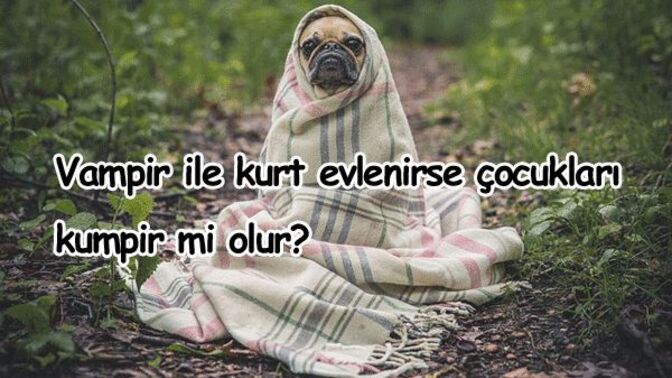 Sessiz kalmak her zaman olgunluksa, küsmek neden çocukluk oluyor?