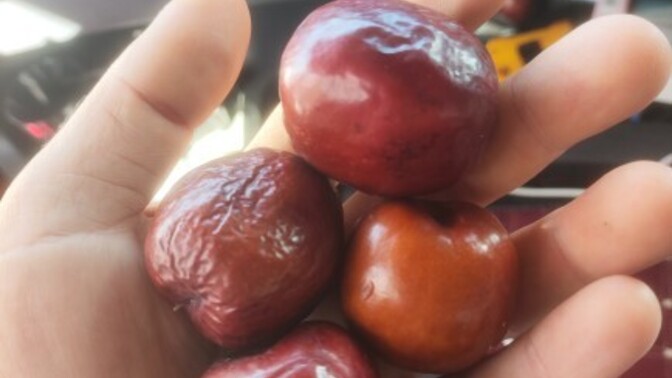 TırCı bir dayı verdi arabasını park edemiyordu ben park ettim diye ama bu Ne hiç bilgim yok😄?