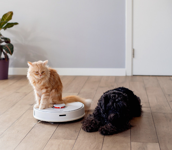 Partili dostu🐱🐶olan ve robot süpürge kullanan var mı?