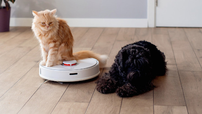 Partili dostu🐱🐶olan ve robot süpürge kullanan var mı?