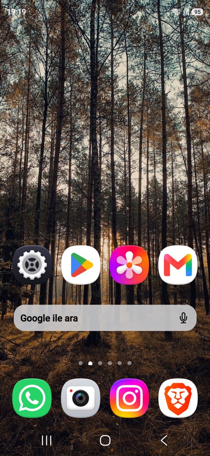 Telefon ekranınızda ne resmi var?