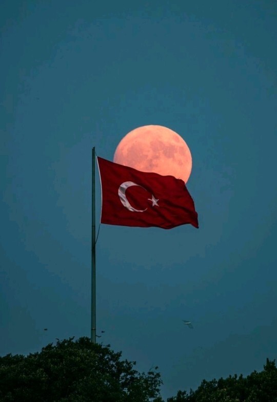 Doğduğun ülkeyi sen seçseydin, hangi ülkeyi seçerdin?