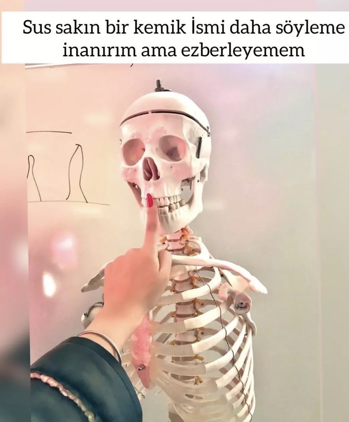Tahammül edemediğin, duyunca sinir olduğun kelime hangisi?