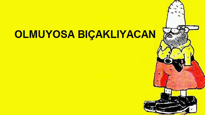 Cilveni bile görmeyen odun erkeğe nasıl davranılır?