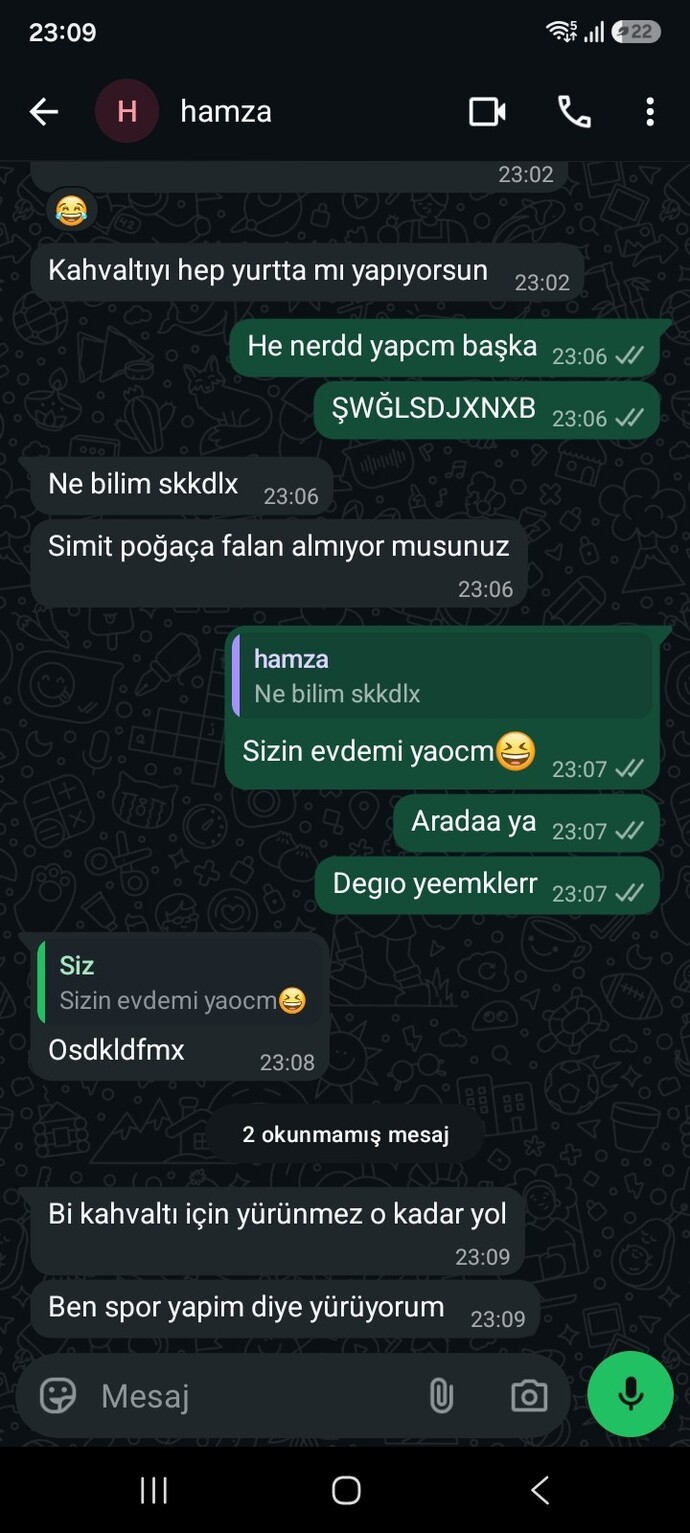 Ayıya bakar msnz pas atım ne dıo hoşlanmıdor yani dimi?