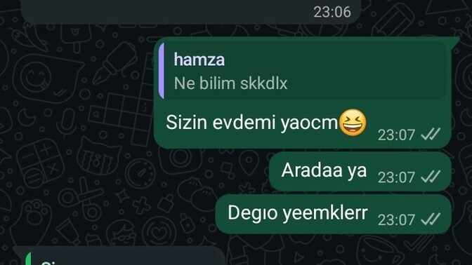 Ayıya bakar msnz pas atım ne dıo hoşlanmıdor yani dimi?