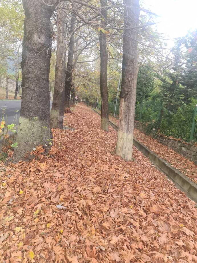 Gününüz nasıl geçti? bana bi kare paylaşırmısınız?