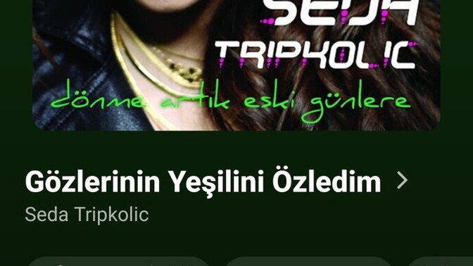 Kimler bu parçayı dinleyerek büyüdü :DD?