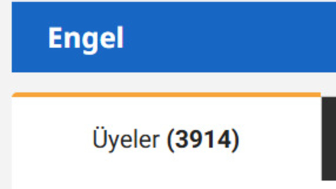 Sizce ben bu kadar kişiyi neden engellemiş olabilirim?