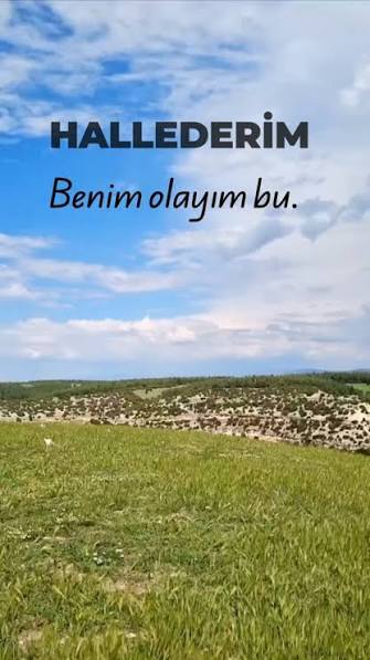 Karışma, o iş bende deyipte o işi halledeni gördünüz mü?