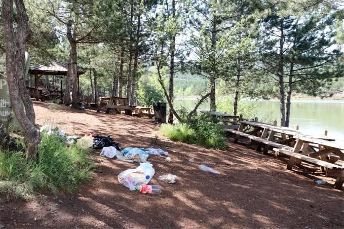 Piknik yaparken çöplerini doğaya bırakan insanlara sizce nasıl bir yaptırım uygulanmalı?