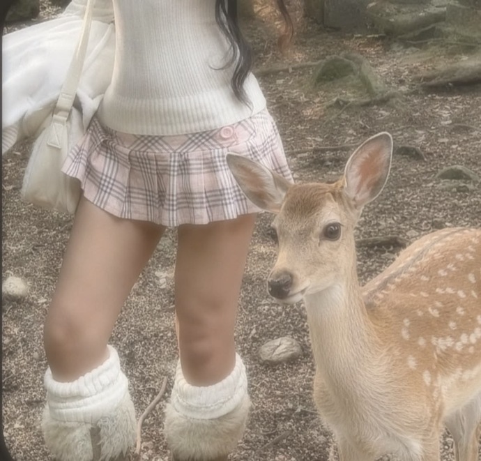 Evcil hayvan olarak bambi istiyorum sizin beslemek istediğiniz bir hayvan var mı? ?