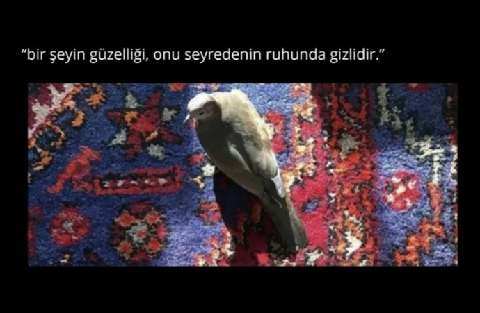 Göz bakar; peki gören gerçekten kimdir?