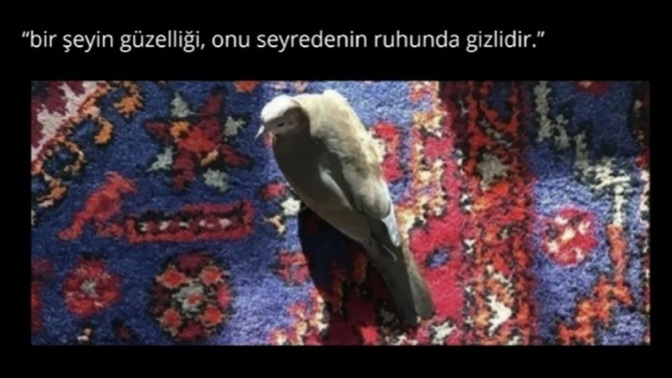 Göz bakar; peki gören gerçekten kimdir?