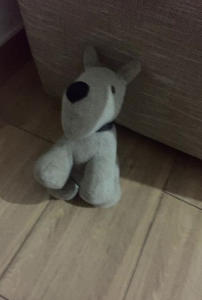 Köpeğimin ismi ne olsun?