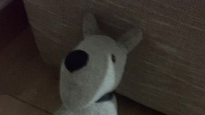 Köpeğimin ismi ne olsun?