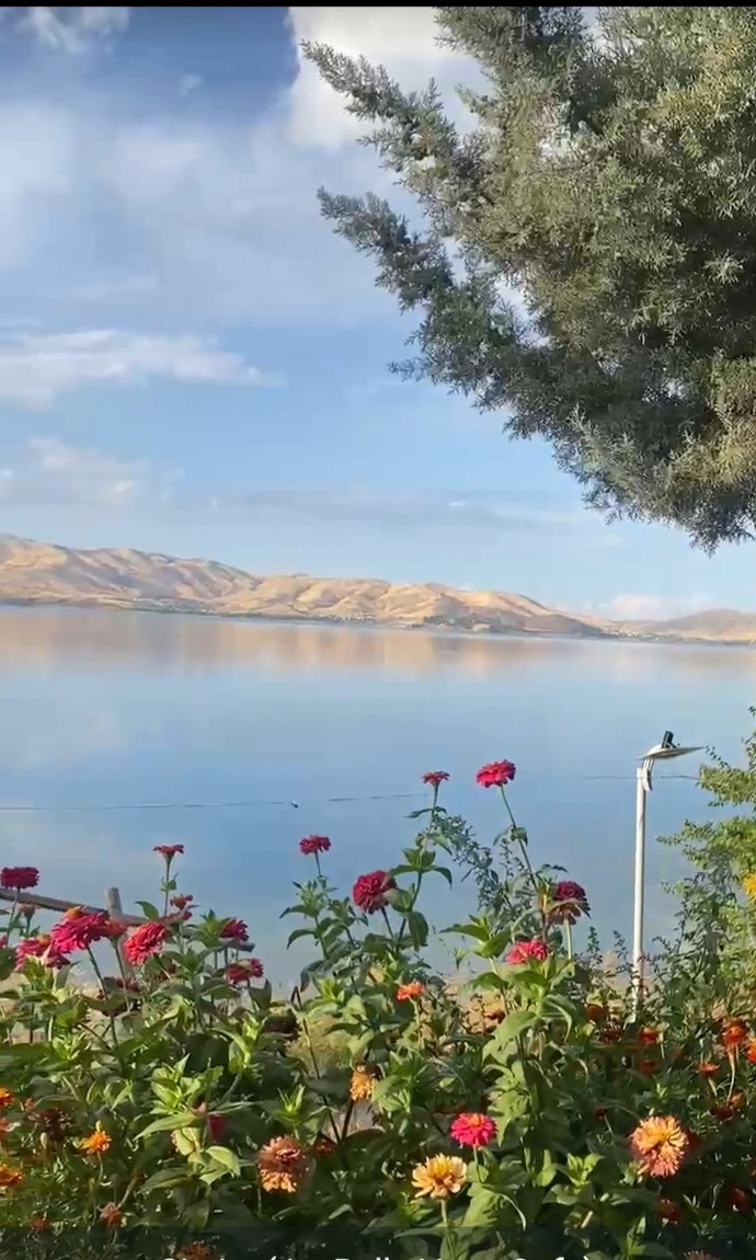 Hayat zaten stresli ve zor kafanızı dağitmak ve deşarj olmak için neler yaparsınız?