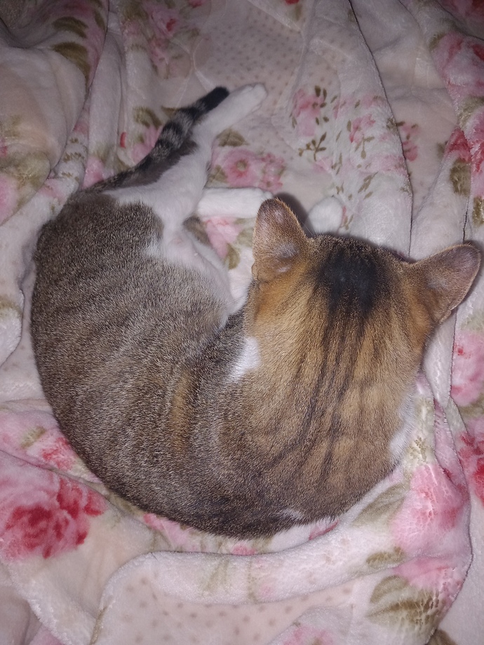 Bu saatte neden hâlâ uyumadınız?