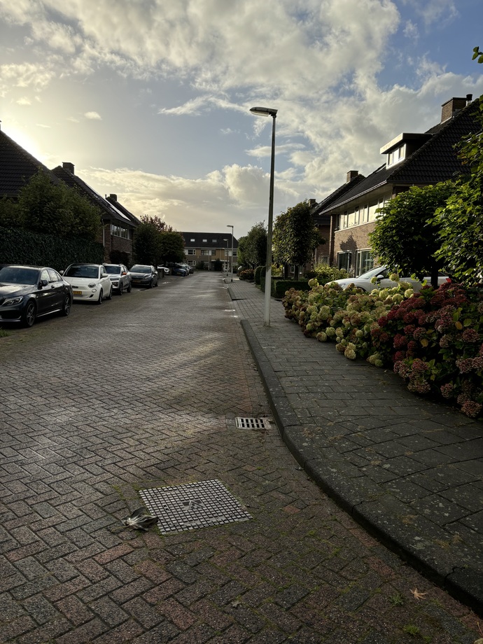 Hollanda’dan herkese günaydın! Sabahları benim gibi 1 saat yürüyüş yapan kimler var?