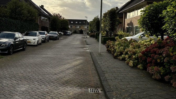 Hollanda’dan herkese günaydın! Sabahları benim gibi 1 saat yürüyüş yapan kimler var?