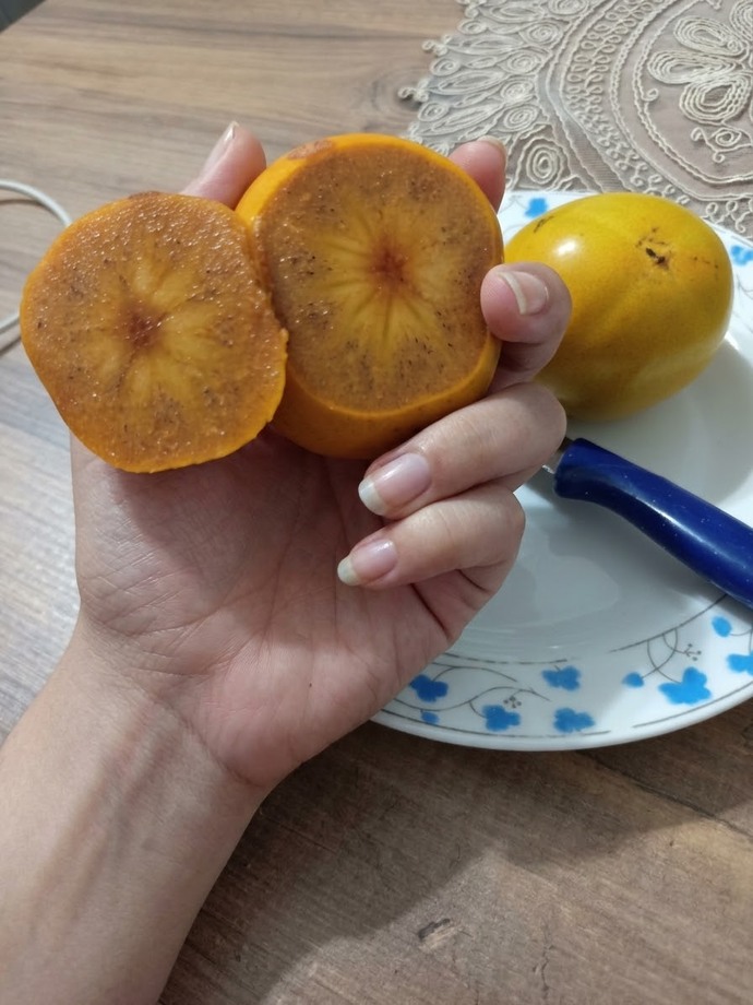 Köyden kopardım geçen hafta djhdjd