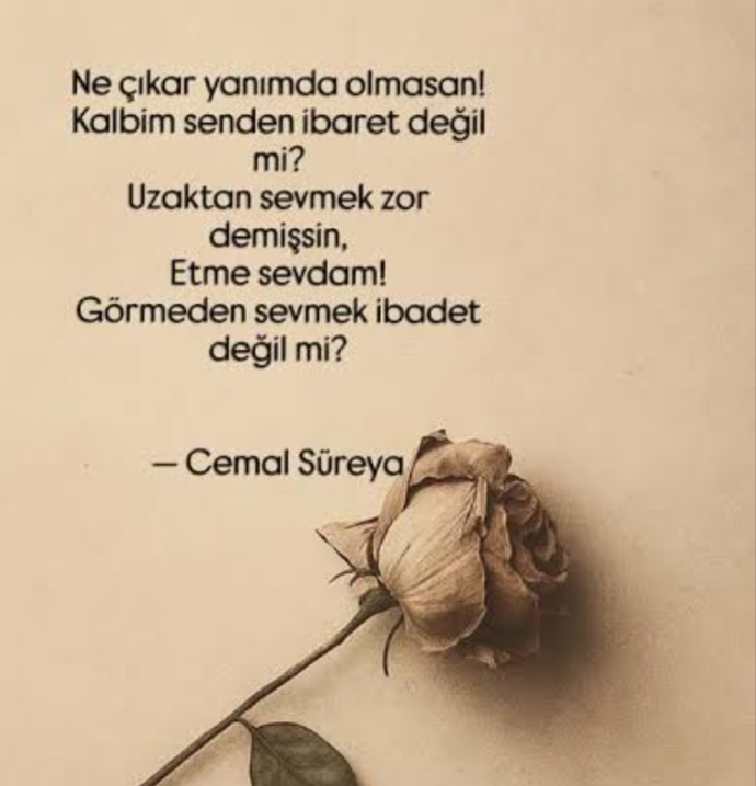 Şunu şöyle bırakayım