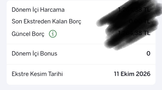 “ilk resimde borcum göründüğü” halde ödeyemiyorum napıcam?