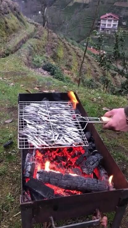 Izgarada hamsi, balık sever misiniz?