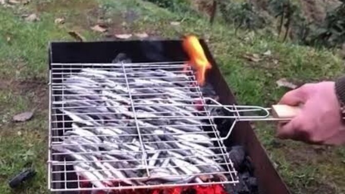 Izgarada hamsi, balık sever misiniz?